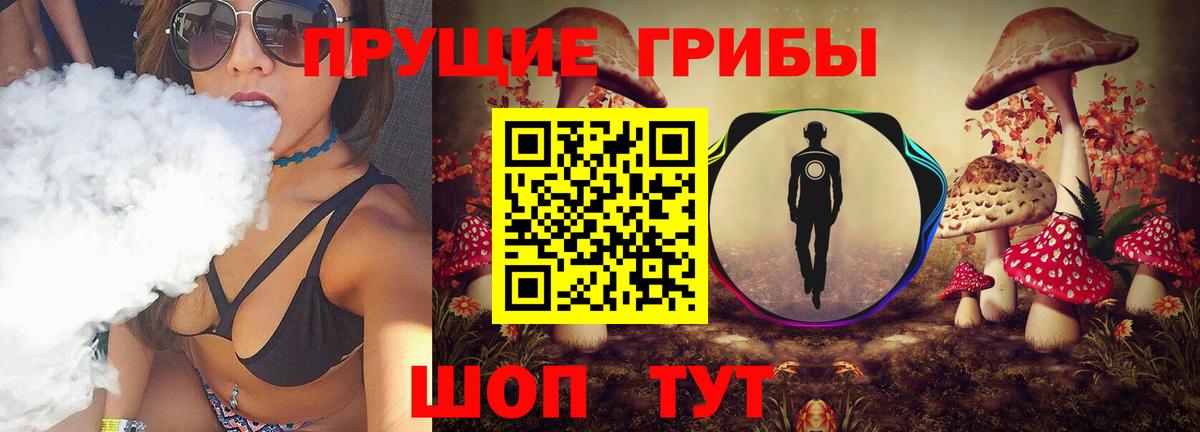 Галлюциногенные грибы Psilocybe  Псилоцибиновые грибы MAGIC MUSHROOMS  Вход с VPN  Ачинск 